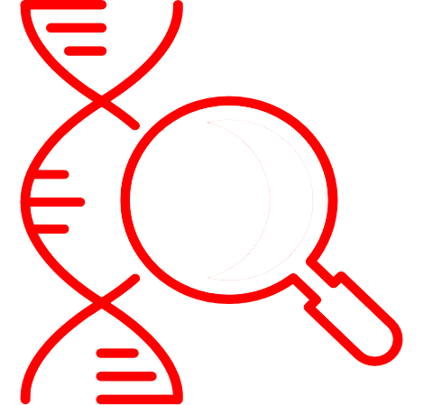 DNA分子量标准/无毒核酸染料